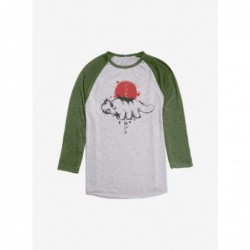 Clearance Avatar: The Last Airbender Appa Sumi-E Raglan $9.25 Raglans